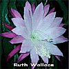 Ruth Wallace