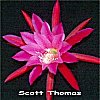 Scott Thomas