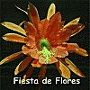 Fiesta de Flores