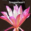 Dragonheart